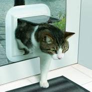 Cat flaps installed Braintree