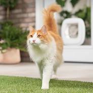 Glass door cat flap installation