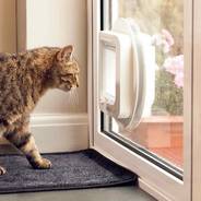 Standard 4 way cat flap